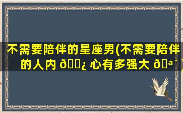 不需要陪伴的星座男(不需要陪伴的人内 🌿 心有多强大 🪴 )